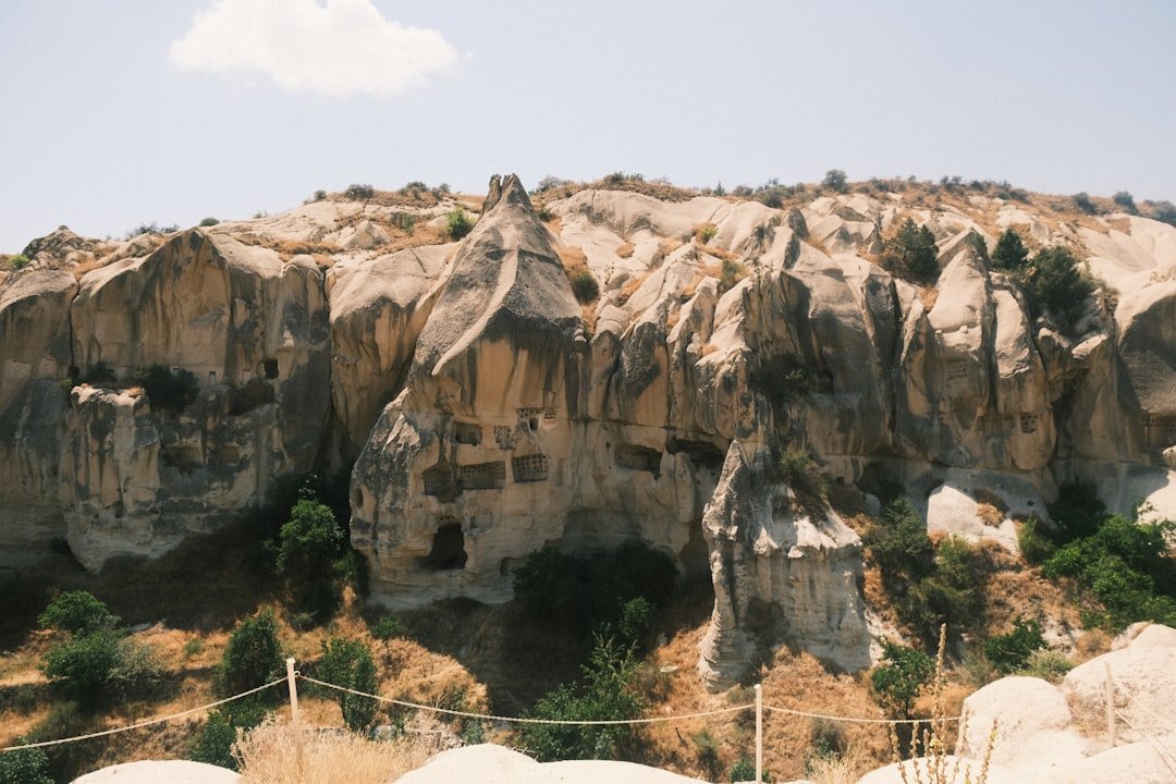 Pet Friendly Taxi Transfer in Cappadocia
